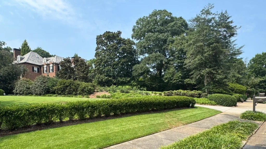 Historic Residential Street in Druid Hills